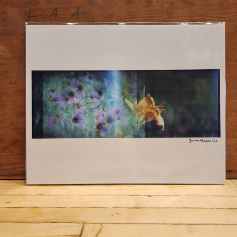 8x10 Echinacea + Lily Print - Laura Mason Photography