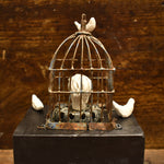 Birdcage - Maria Masinter