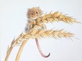 Harvest Mouse with Wheat Print