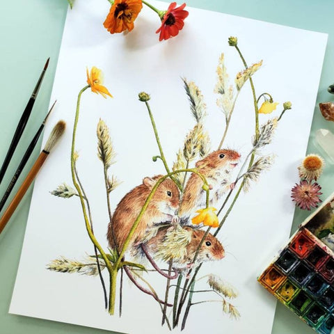 Harvest Mice with Buttercups