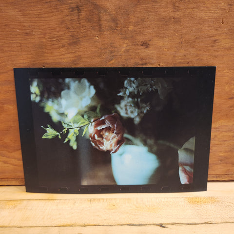 Dark Bouquet Postcard