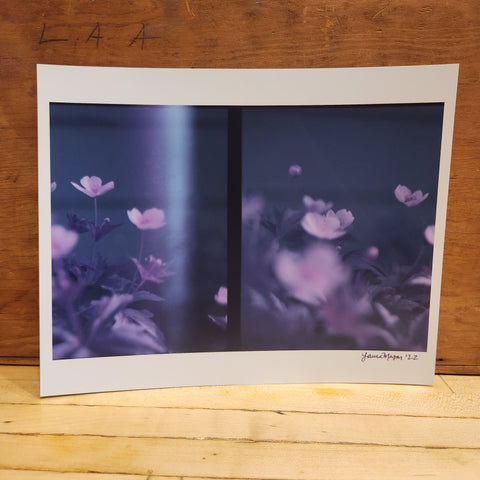 8x10 Split-Frame Anemone Print - Laura Mason Photography
