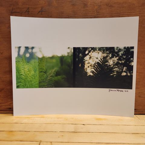 8x10 Light + Dark Ferns Splitframe Print - Laura Mason Photography