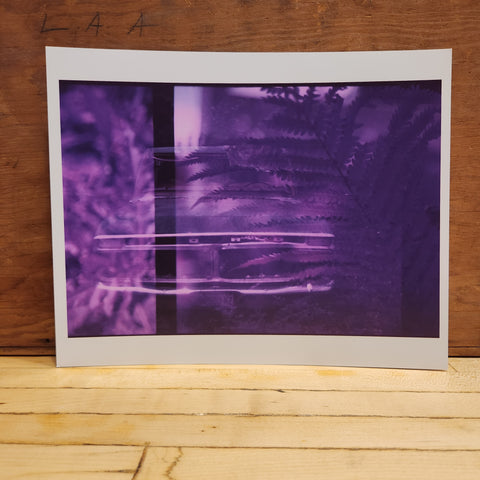 8x10 Purple Ford + Ferns Print - Laura Mason Photography