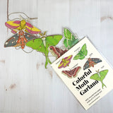 Colorful Moth Garland