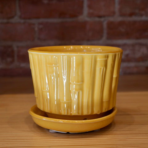 Yellow McCoy Bamboo Pot 5.5"