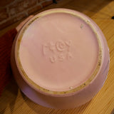 McCoy Pot Dogwood Pink 8"