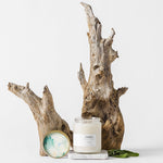 Sea Salt Sage 8 oz Candle