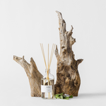 Sea Salt Sage 8oz Reed Diffuser