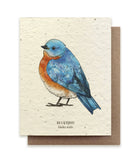 Bluebird Seed Card