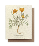California Poppy Seed Card