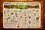 Harvesting/Wildcrafting Calendar