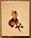 Harvest Mouse Prints - Dani Antes