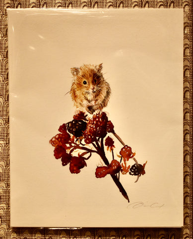 Harvest Mouse Prints - Dani Antes