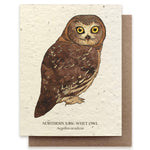 Saw-Whet Owl Seed Card