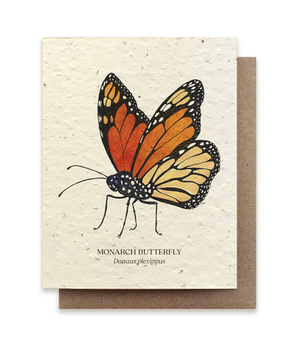 Monarch Butterfly Seed Card