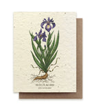 Blue Flag Iris Seed Card