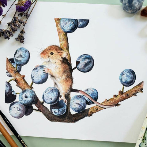 Harvest Mouse with Sloes Print - Dani Antes