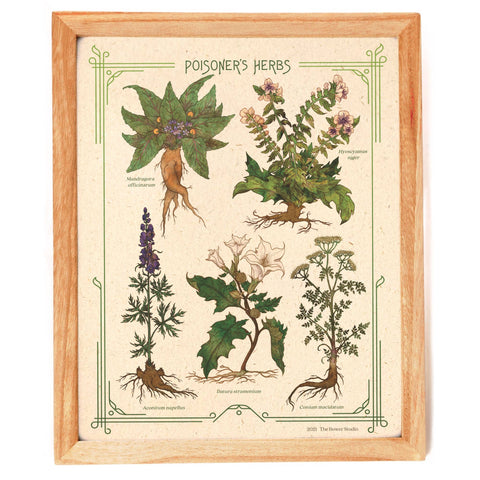 Poisoner's Herbs Print - Bower Studio