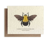 Bumblebee Seed Card