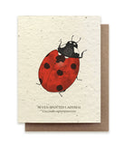 Ladybug Seed Card