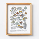 Mushroom & Fungi Print
