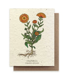 Calendula Seed Card