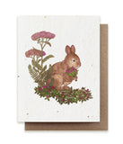 Rabbit Herbs Seed Card