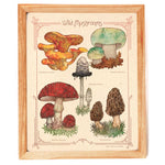 Wild Mushrooms Print - Bower Studio