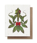 Jack in the Pulpit & Green Dragon Seed Card
