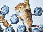 Harvest Mouse with Sloes Print - Dani Antes