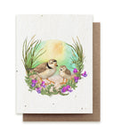 Plovers Seed Card