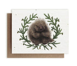 Porcupine Seed Card